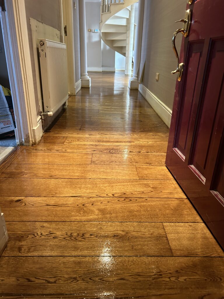 Oak wood floor after sanding, staining and sealing Dublin
